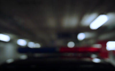 Blog 1 Search & Seizure: Suppression Strategies for 2026 South Carolina Traffic Stops
